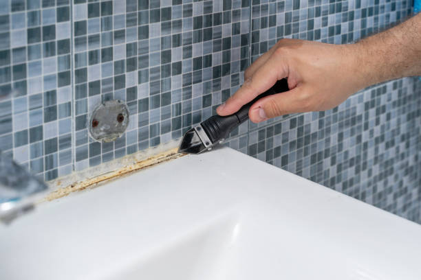 Best Commercial Mold Removal  in Tladega, AL